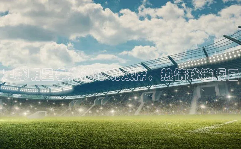 极悦娱乐平台注册百度网盘足球明星争先进球观众席，热情球迷瞩目