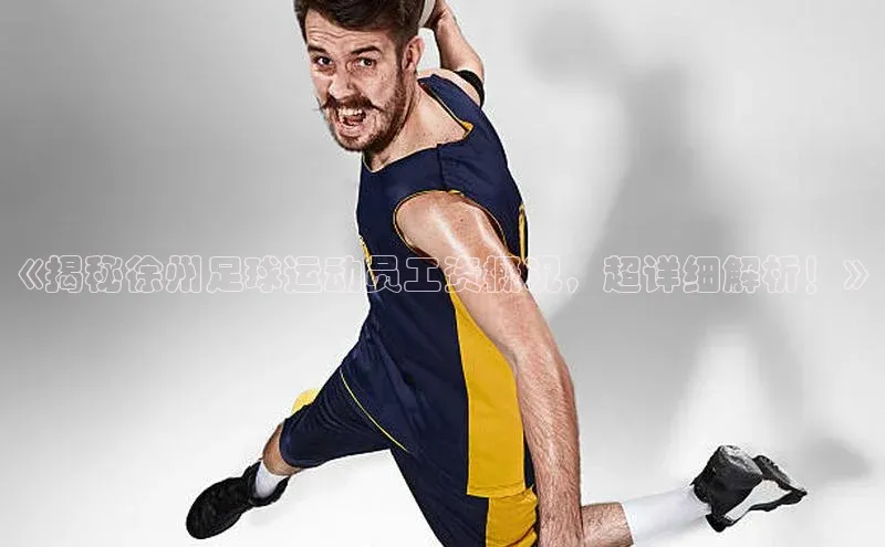 极悦官方网站app下载观星盘《揭秘徐州足球运动员工资概况，超详细解析！》