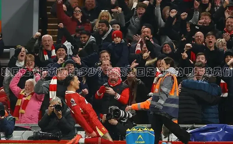 极悦平台代理小度商城韩国足球运动员有多少？探索韩国足球界的明星球员们