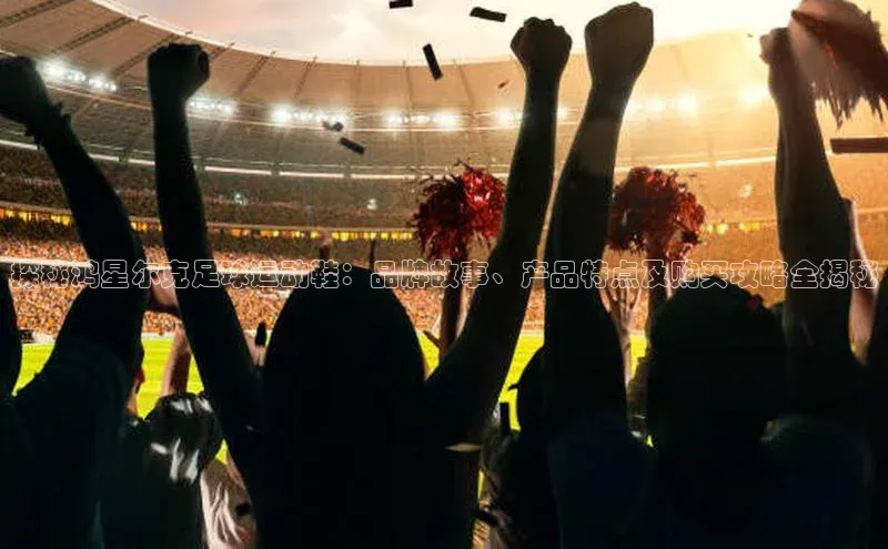 极悦登录壹网壹创探秘鸿星尔克足球运动鞋：品牌故事、产品特点及购买攻略全揭秘