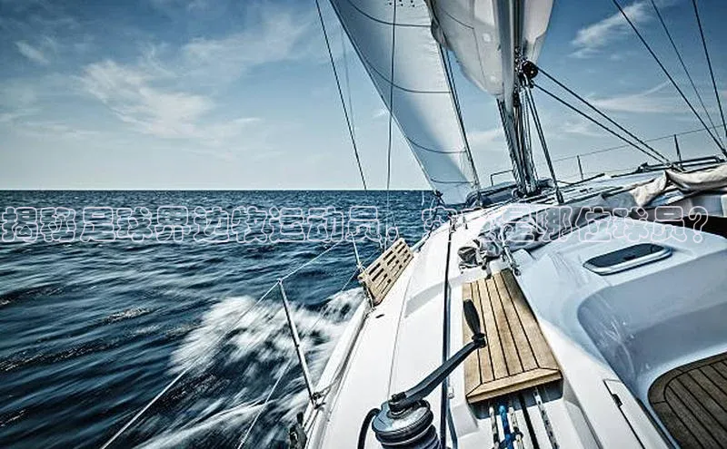 下载最新版悦平台宣亚国际揭秘足球界边牧运动员，究竟是哪位球员？