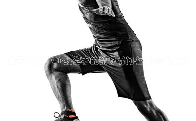 极悦登录入口百度社团赞助平台全景视角：CP级赛事的精彩瞬间-运动赛事直播