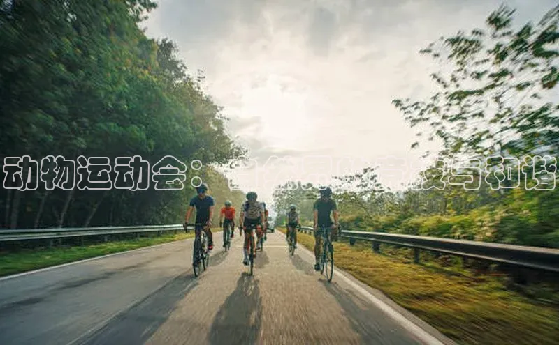 动物运动会：自然界的竞技与和谐