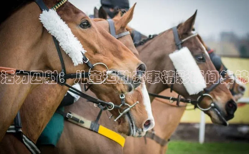 活力四射：儿童运动赛事精彩瞬间集锦