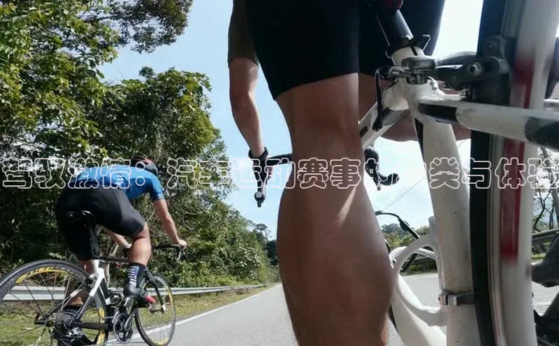 驾驭激情：汽车运动赛事的种类与体验