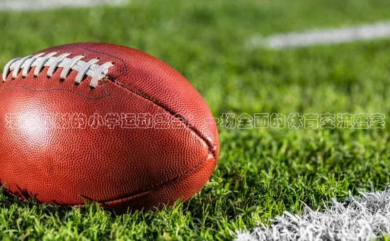 活力四射的小学运动盛会：一场全面的体育交流盛宴