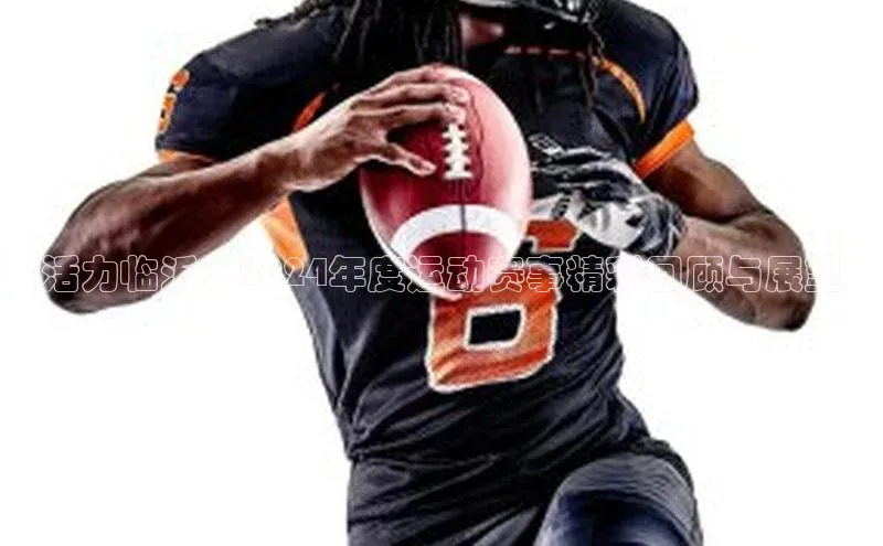 活力临沂：2024年度运动赛事精彩回顾与展望