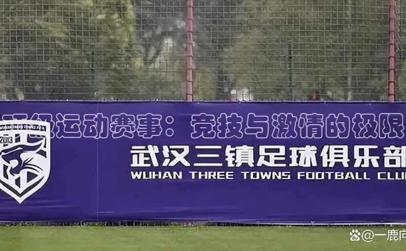 顶级运动赛事：竞技与激情的极限