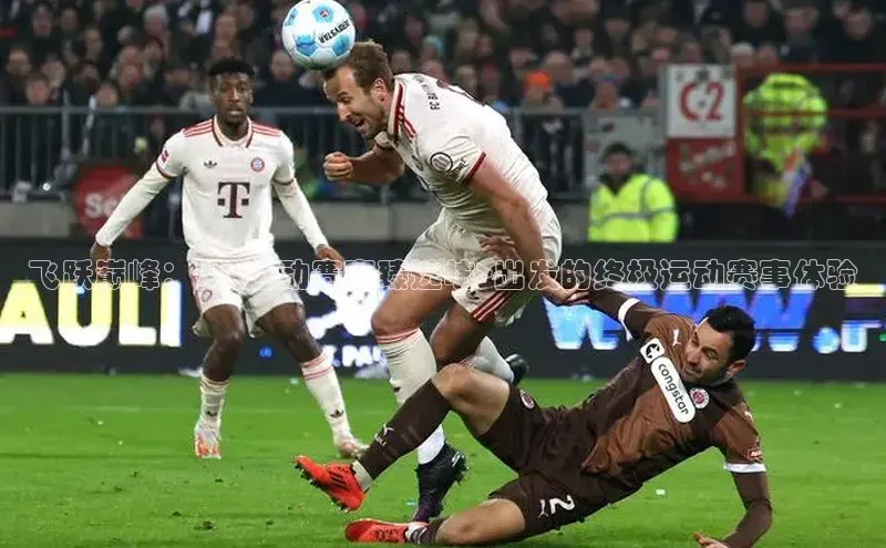 飞跃巅峰：从<运动赛事臻选坊>出发的终极运动赛事体验