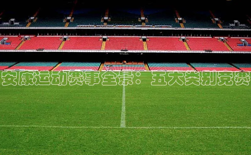 安康运动赛事全景：五大类别竞赛