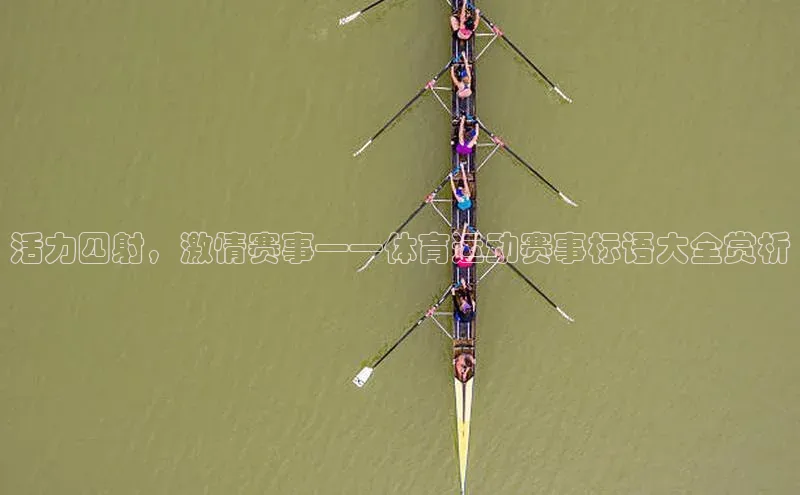 活力四射，激情赛事——体育运动赛事标语大全赏析