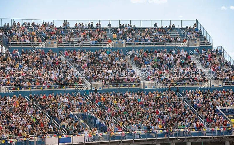 打造幸福成长轨迹：亲子运动赛事的创意策划方案