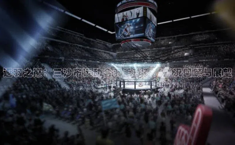 逐羽之巅：三沙市运动会羽毛球赛事盛况回顾与展望