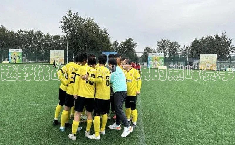 极悦app下载官网