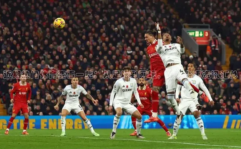 极悦娱乐官网入口下载