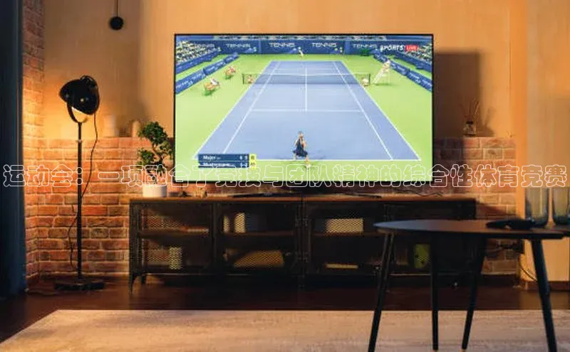 运动会：一项融合了竞技与团队精神的综合性体育竞赛